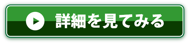 詳しく見てみる